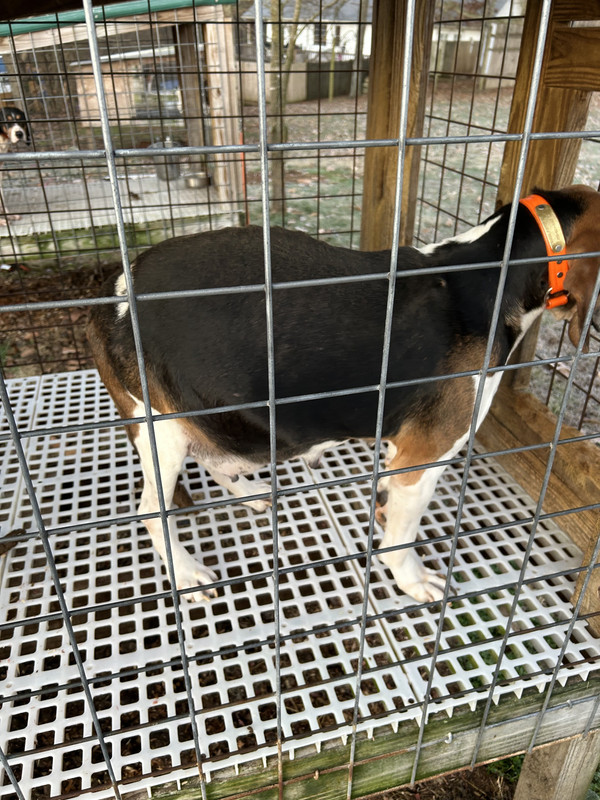 DCB93C0E-AE08-49EA-A621-A038F4A3DB96