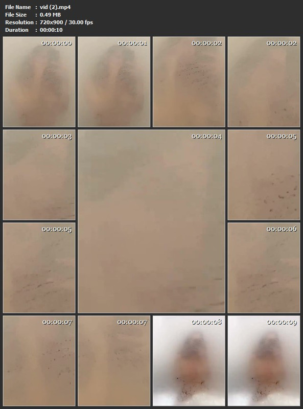 vid (2).mp4