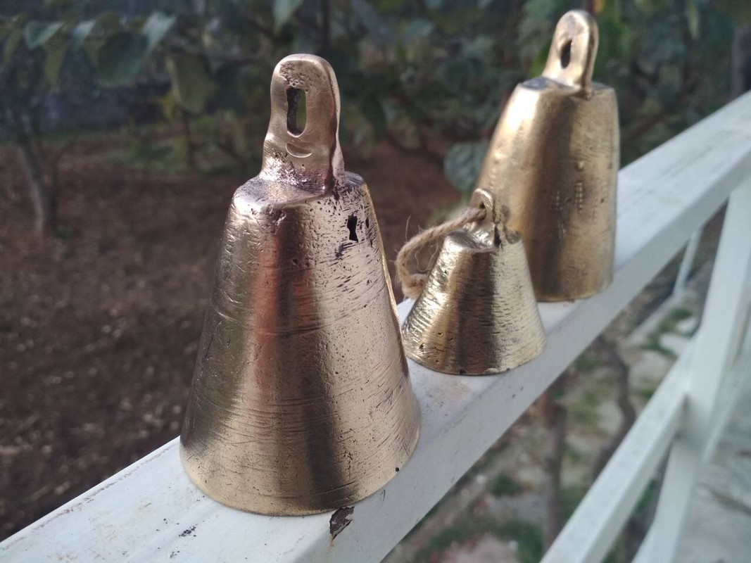 7591E662-73F1-42EB-BCA6-8DB6947BE94B