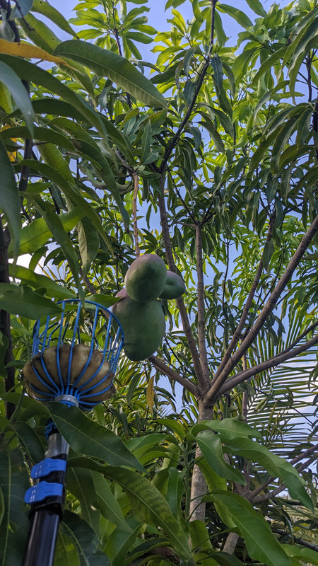 PXL_20240603_222435900.MP