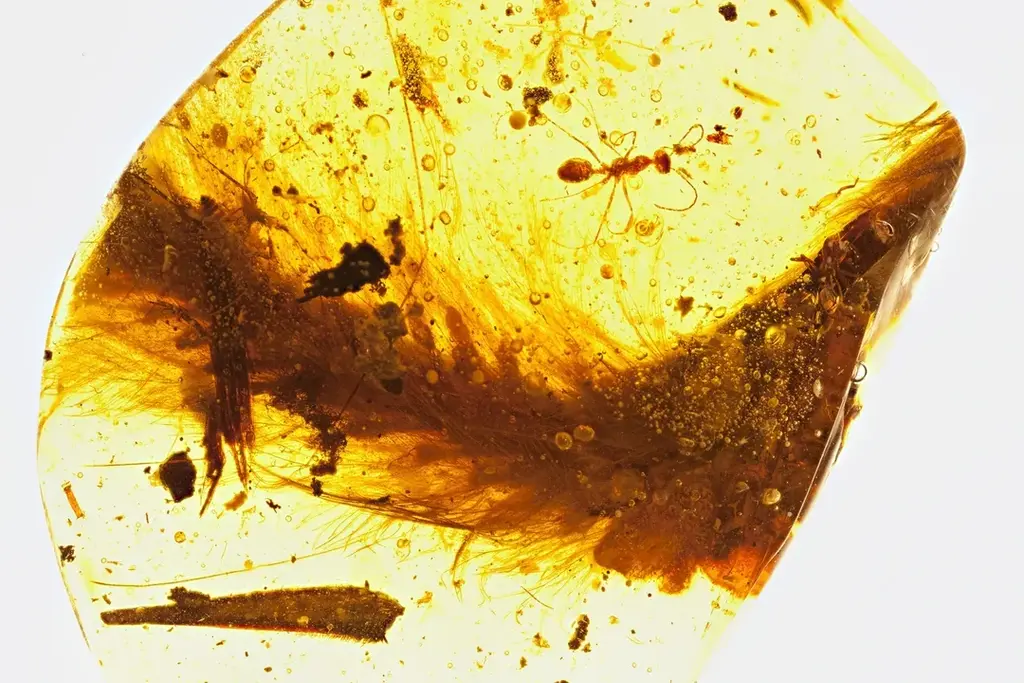 amber