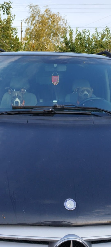 DADB79FE-0F1C-4DAB-9B45-20CF43E8968D