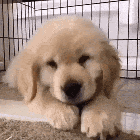 b422c6fe7c7a5e3c87e9813dfcc013ea.gif