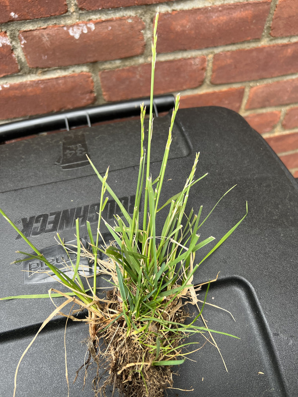 D8AE9D64-226C-457A-AF13-0D64EC17FBFD