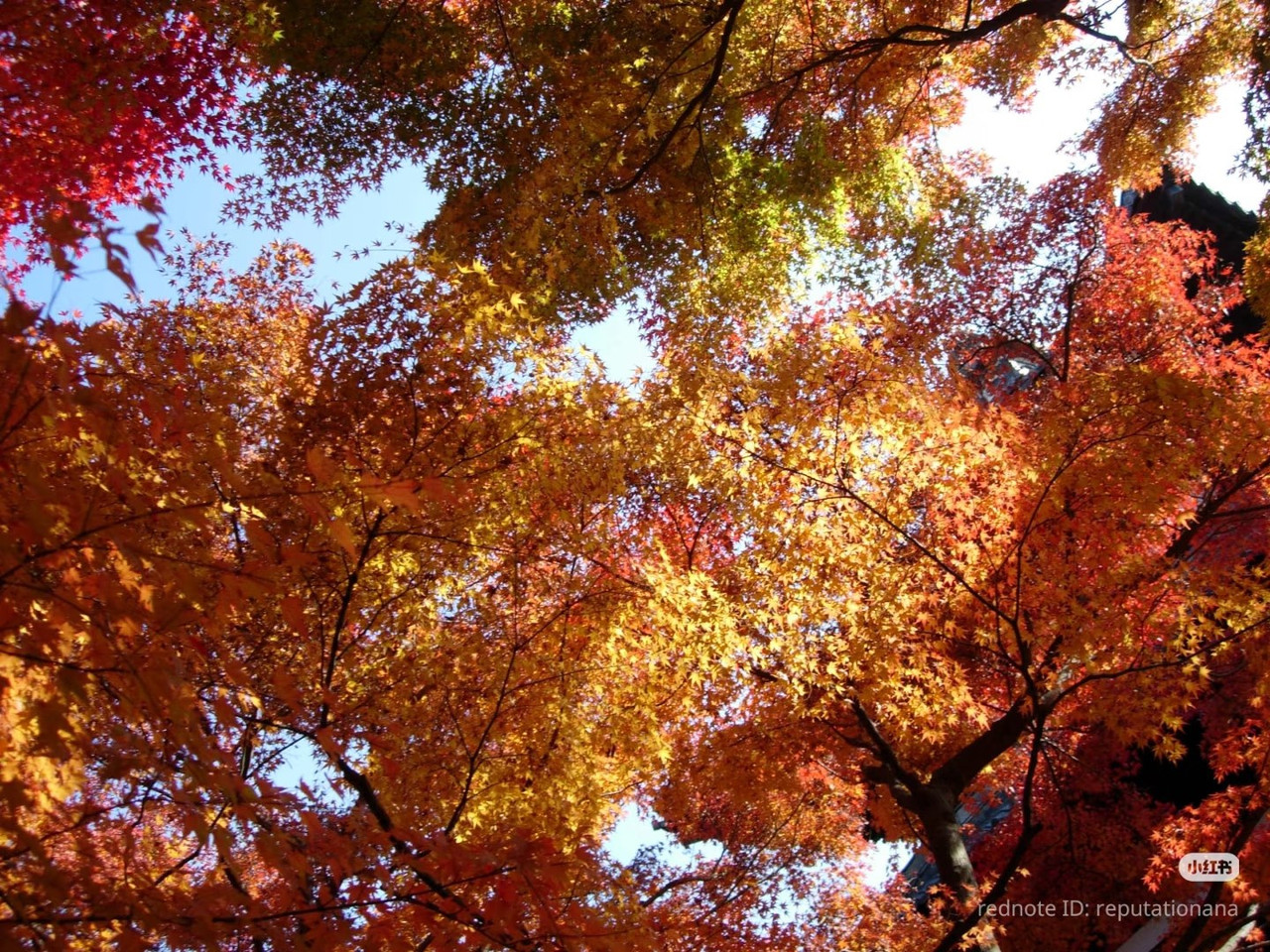 photo 6 2026 01 03 21 17 28