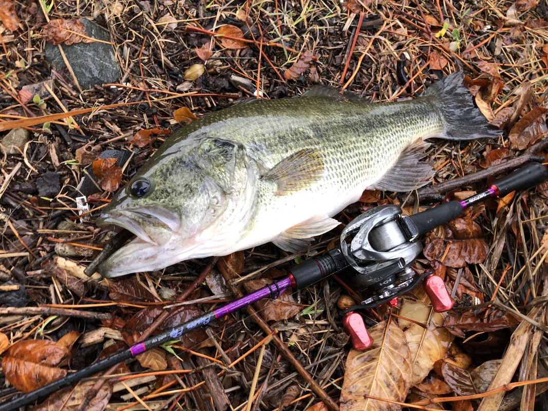 E4799FDD-8AE2-4318-B032-801086D0B29C