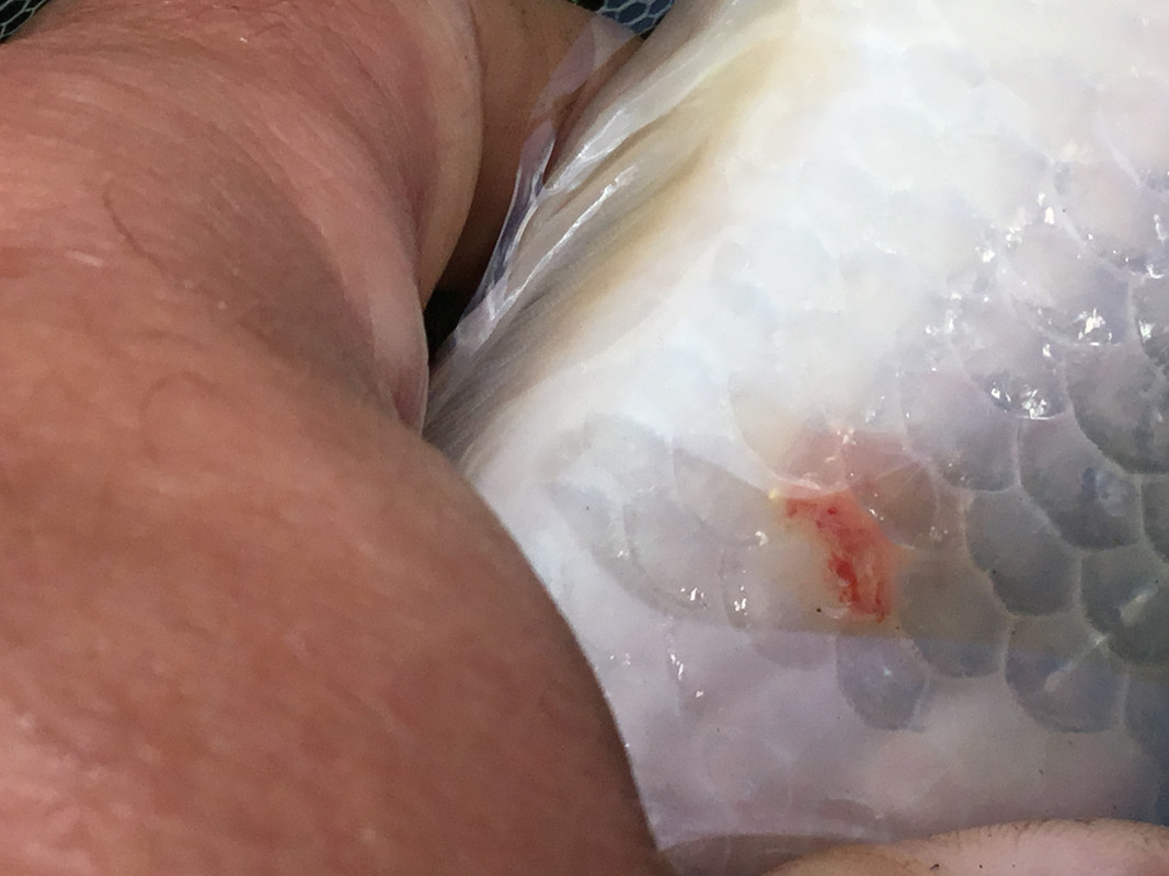 85A0F81E-2E5F-428E-861C-E20A9ACBF492