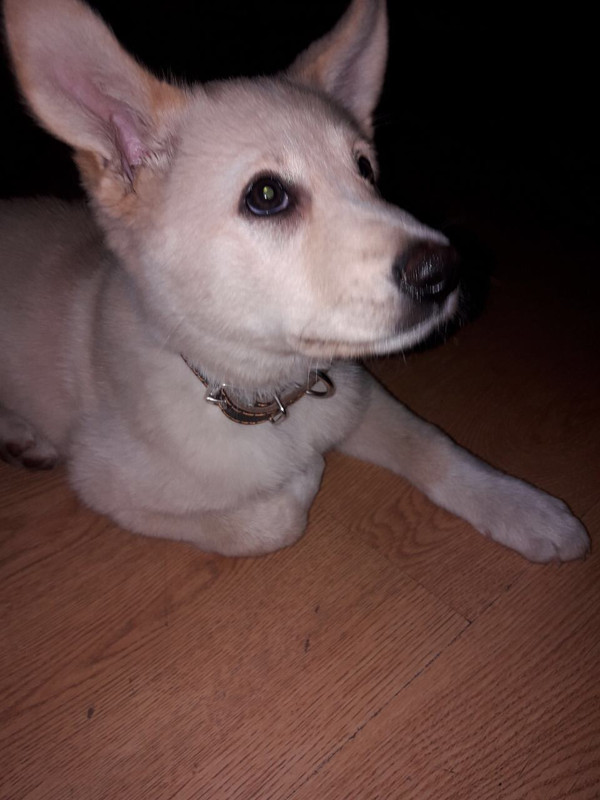 3AEBCFCD-4767-422A-91A8-3C2A6886E884