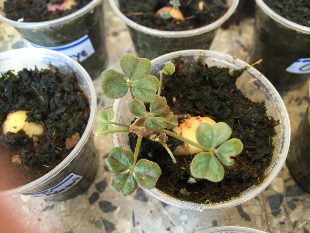 9124FE36-72D5-4564-8CFB-30A9617E9D8E