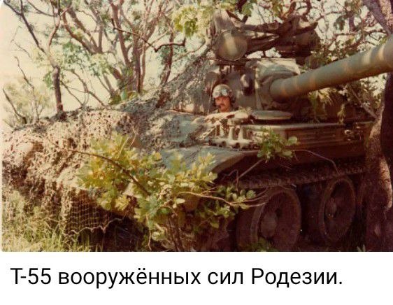 photo 2026 04 26 18 58 21