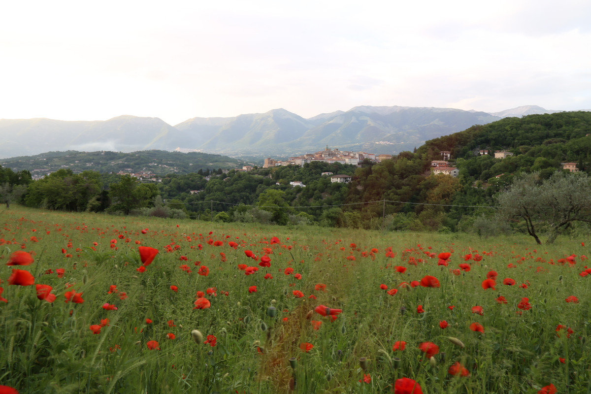 F121D7FC-7FDD-416A-94A6-86EAB48373DC