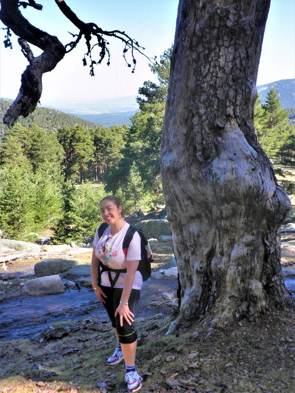 RUTA CAMINO SCHMIDT-9-4-2011-MADRID/SEGOVIA - Paseando por España-1991/2016 (6)
