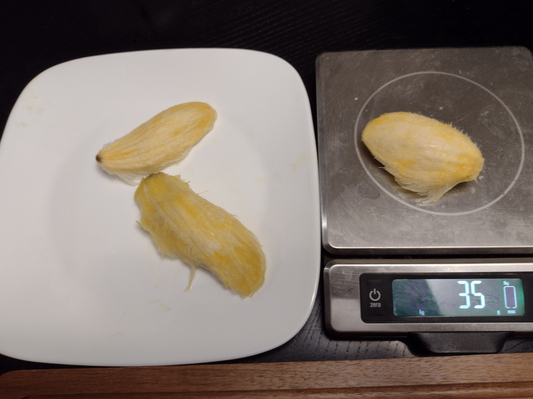 IMG_20210602_190747102