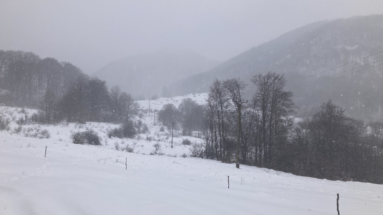 ABD04933-4BBA-43E7-A8DD-25BF4025B788