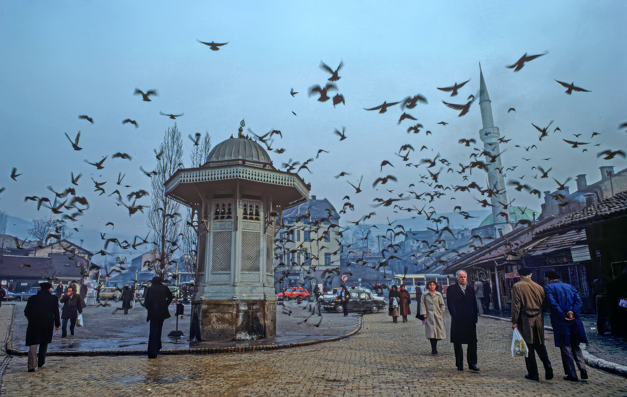 Golubovi sedamdesete