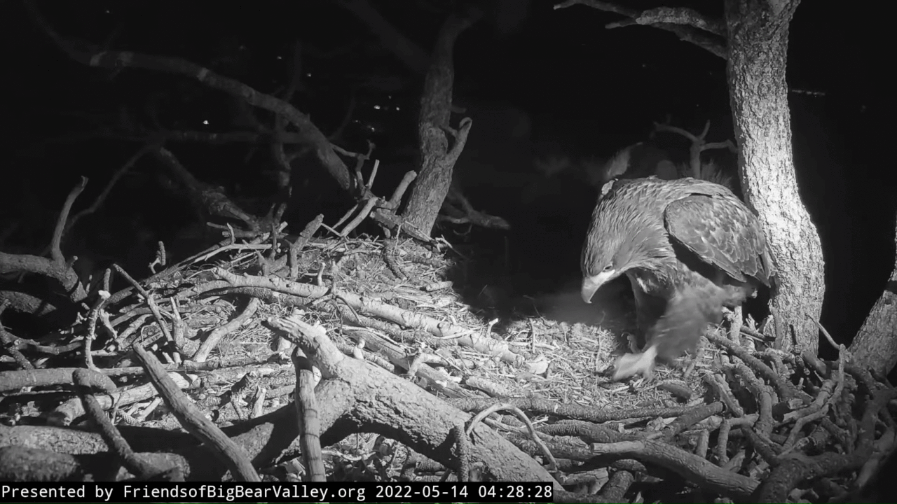 Webp.net-gifmaker (3)