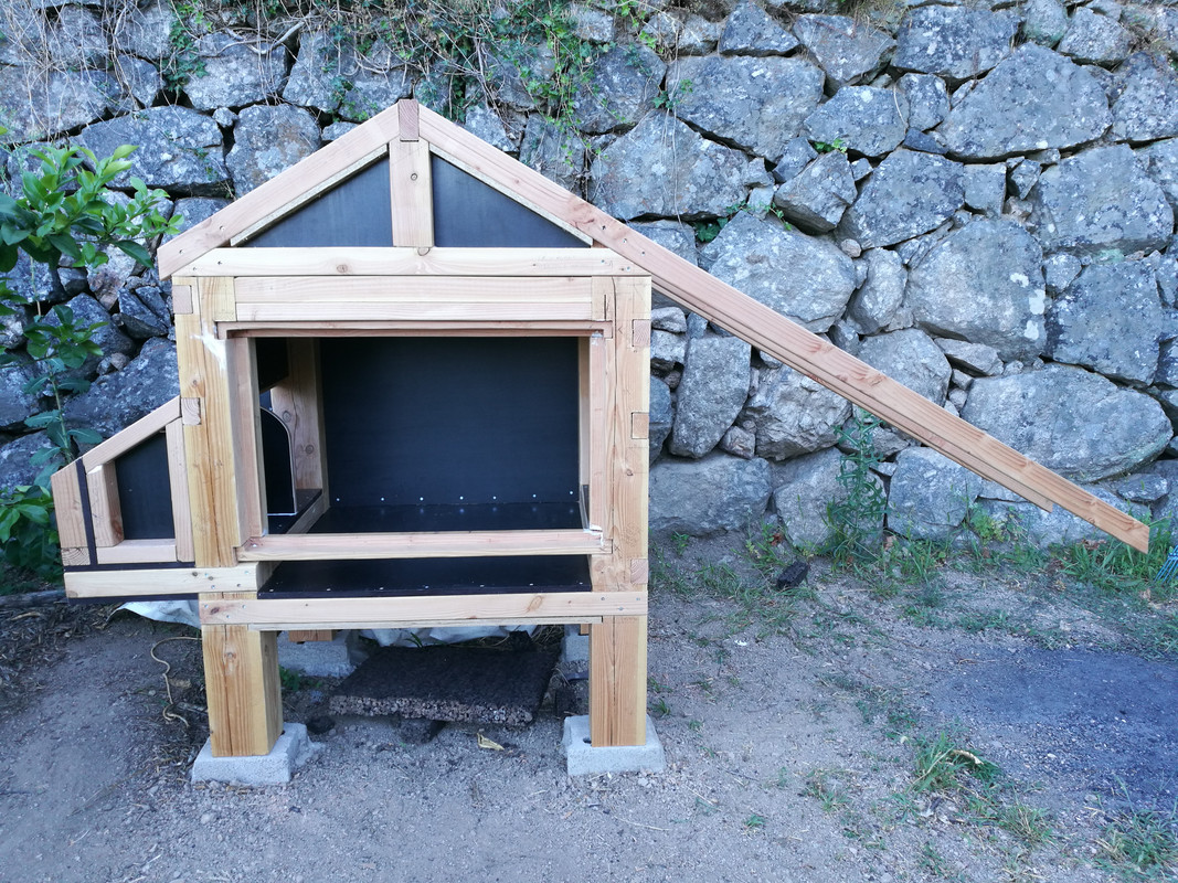 IMG_20200704_193152[1]