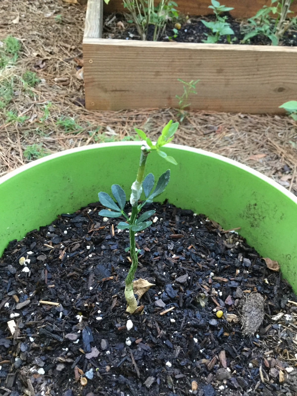 E6D53FC0-493C-45FE-AAEB-55C4FFD88533