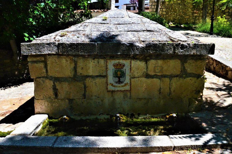 Madrid y sus pueblos-2000/2022 - Blogs of Spain - OLMEDA DE LAS FUENTES-5-6-2020 (66)