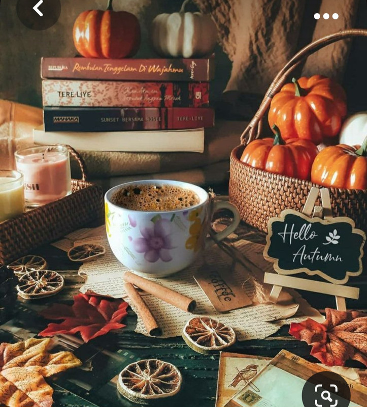 Screenshot_20230923_002354_Pinterest