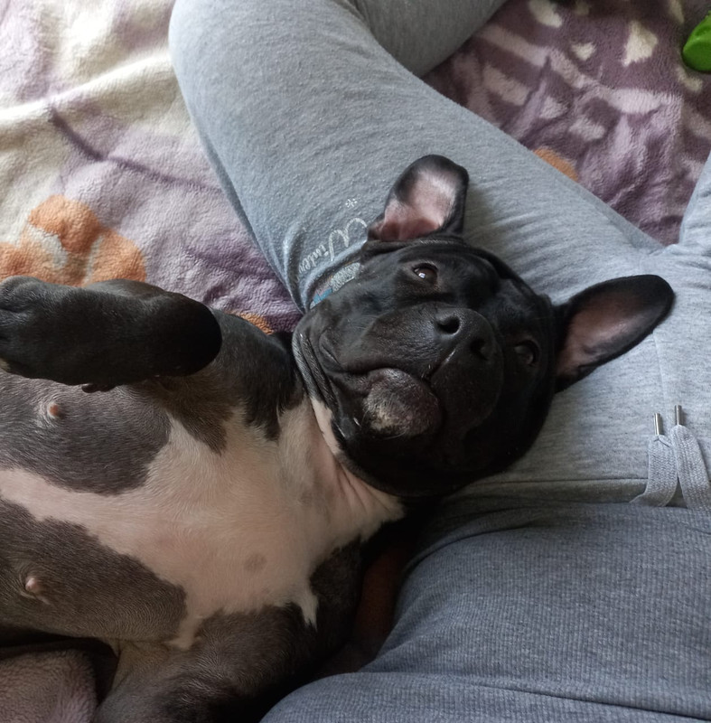 D96EC8CA-A415-40C0-9D63-C2FC1730AD9B