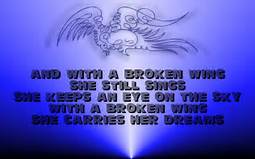 broken_wings55