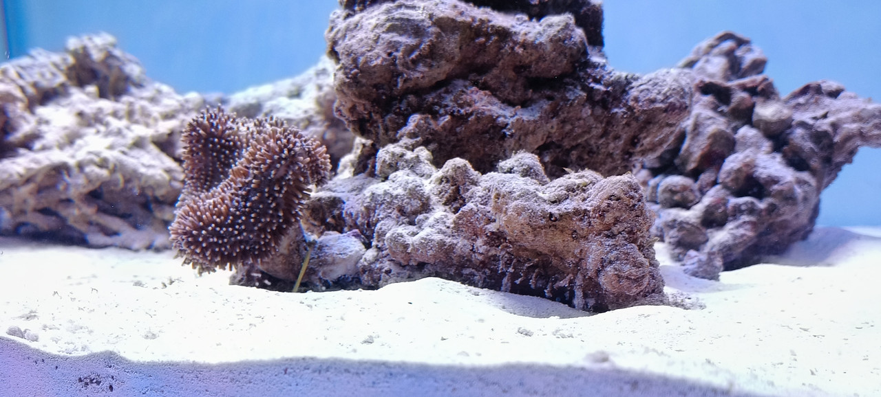 Screenshot 2025 12 21 18 30 51 26 99c04817c0de5652397fc8b56c3b3817