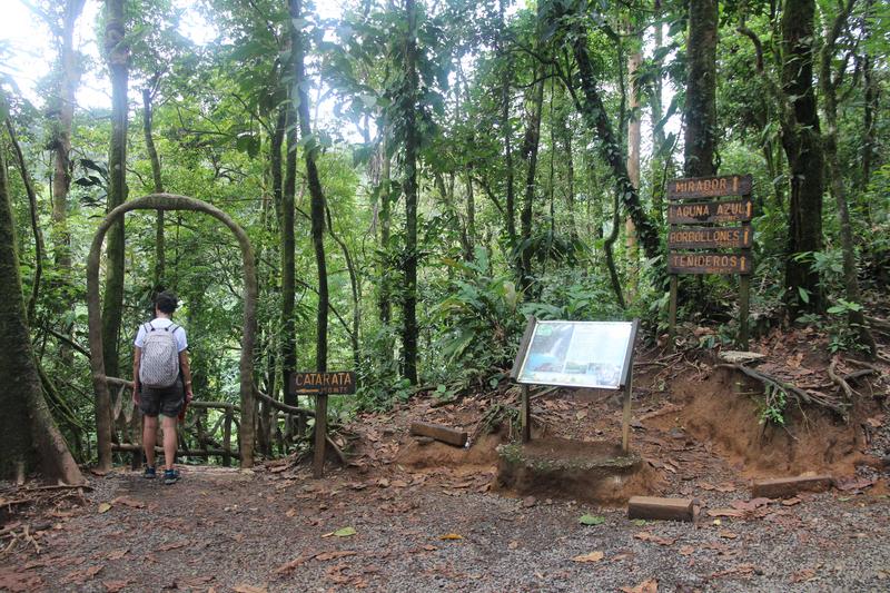 DIA 10: RIO CELESTE - DE TORTUGAS Y PEREZOSOS. COSTA RICA 2019 (10)