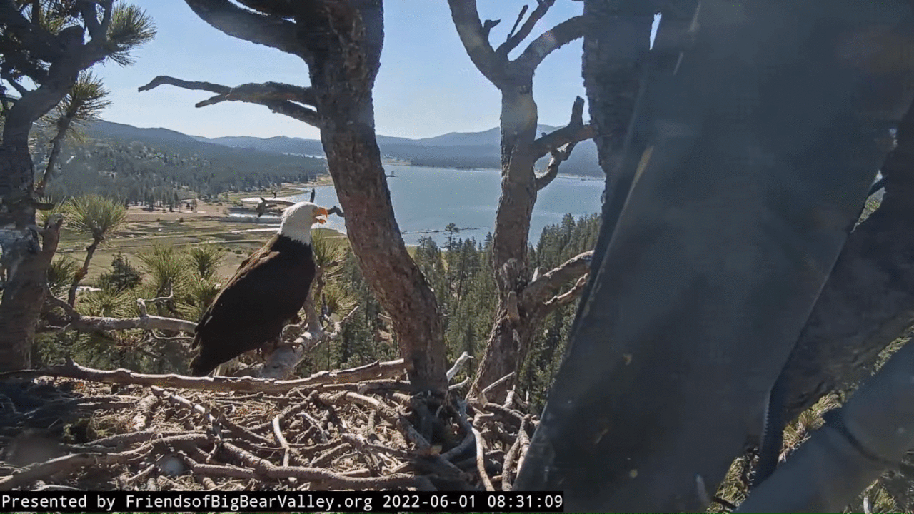 Webp.net-gifmaker (3)