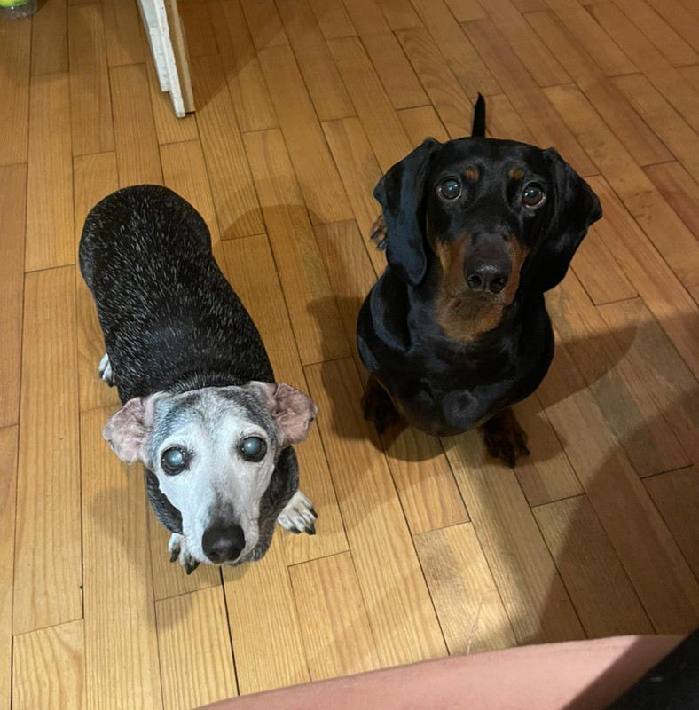 [Image: IMG-20250118-WA0001.jpg]