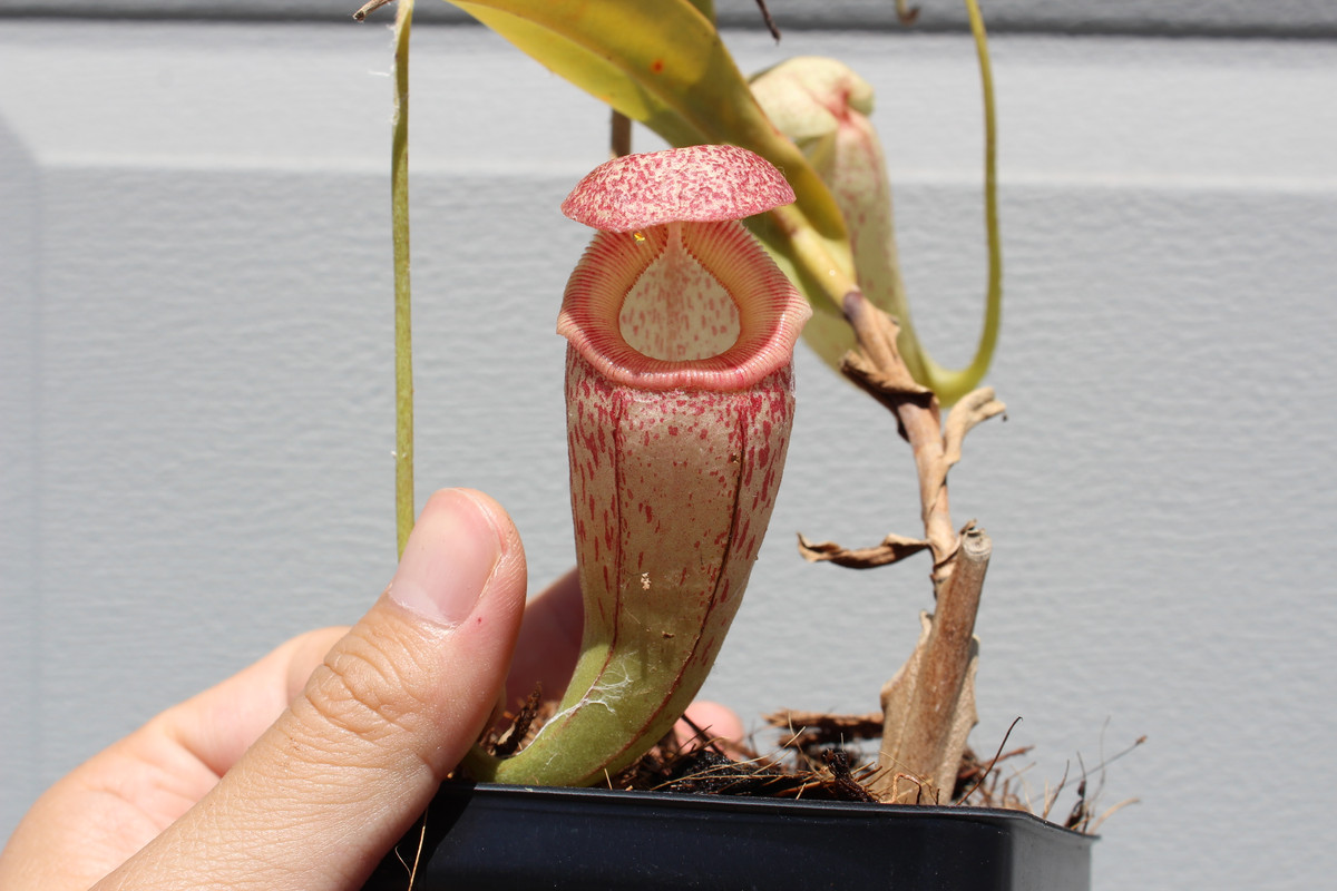 B621EC9E-1DEE-4B20-82B8-EBA8205AEF21