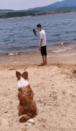 daily-gifdump-3382-27.gif