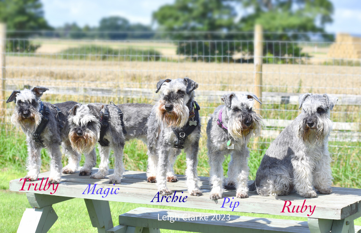 F9F3180E-767B-4085-A2BE-281774370736