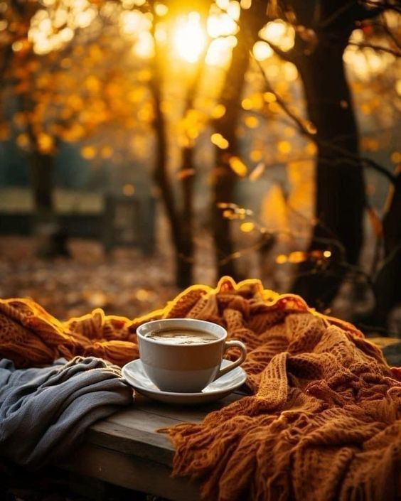 I2i41L4-RCELQH4Iog1ZA-f-VVNt-Au34DTb-Dt-In-Loe-Qj63Zoc-LPng7jm-Ai0Hl-SAWs