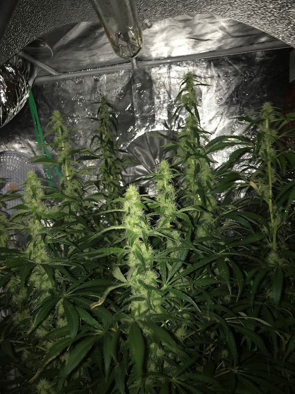 C5F1CE97-9714-4E8C-985C-140390776625