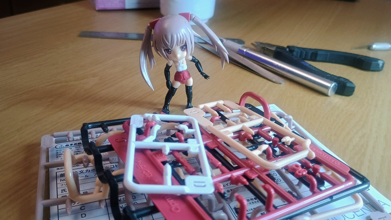 Innocetia Qpmini (17)