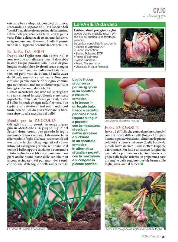 Pol Ver Gen 2023 (6)