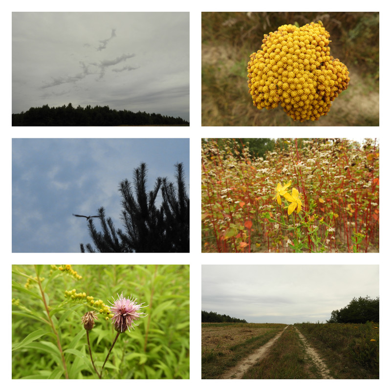 spotkalamzranabociana