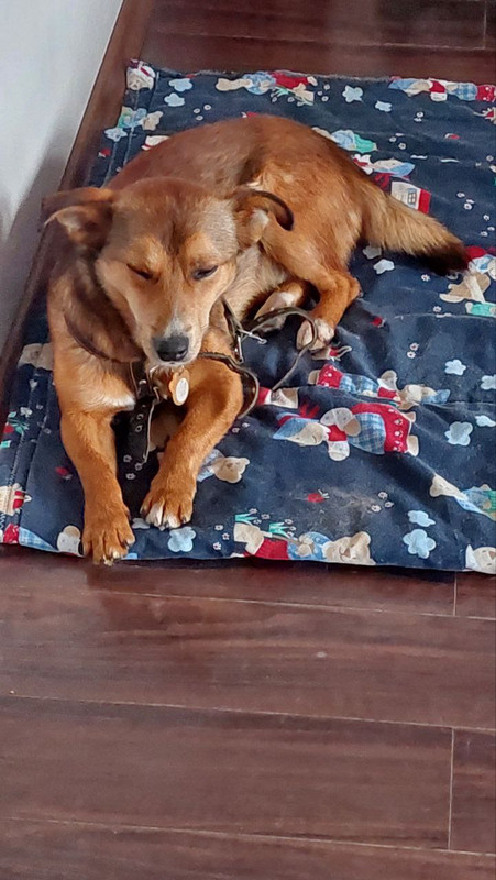 photo_2024-11-07_12-19-19