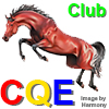 CQE-Insignia-2.jpg