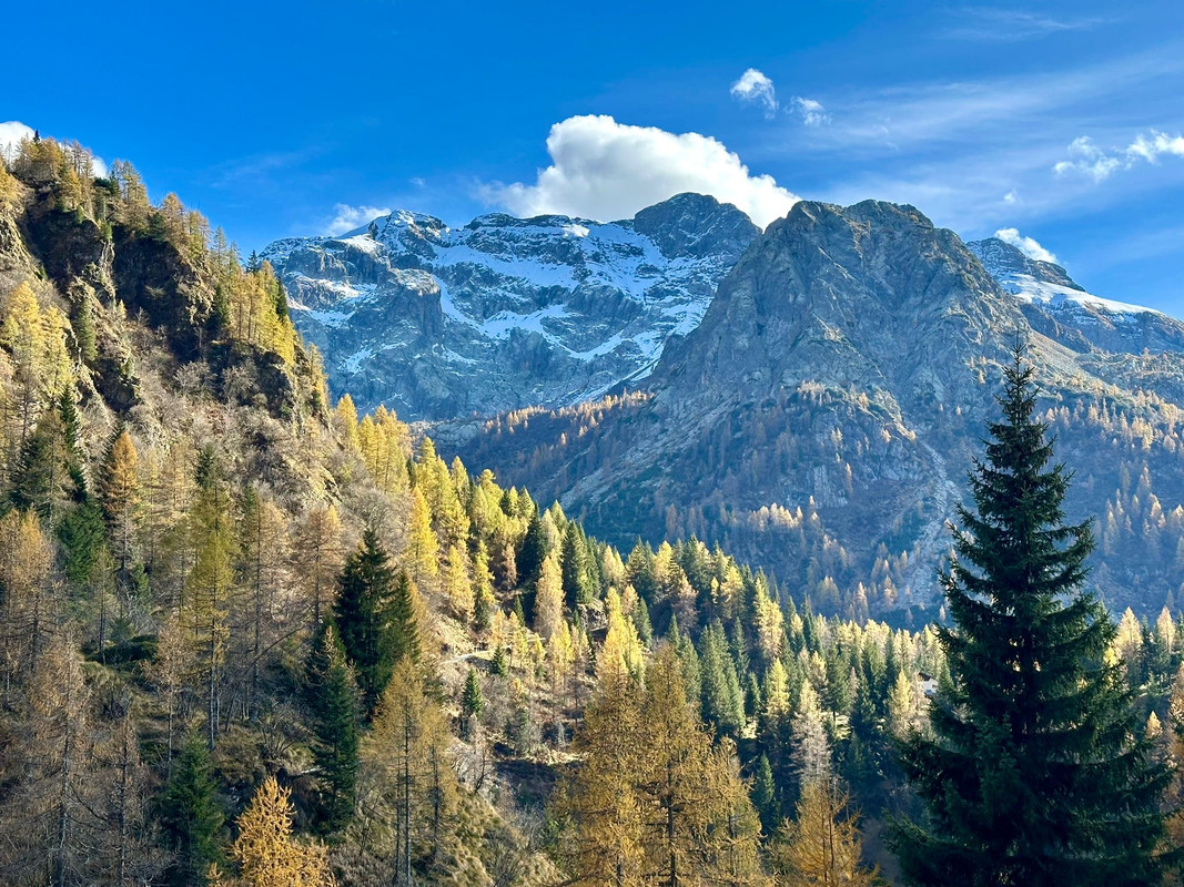 aa10de9b a5c9 47ff 8ddf 5efe3c537b2c