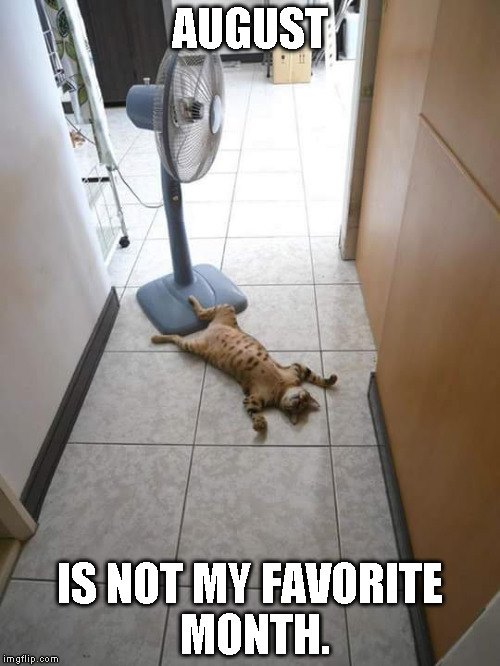august-not-my-favorite.jpg