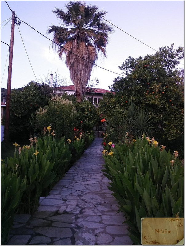 Image00053