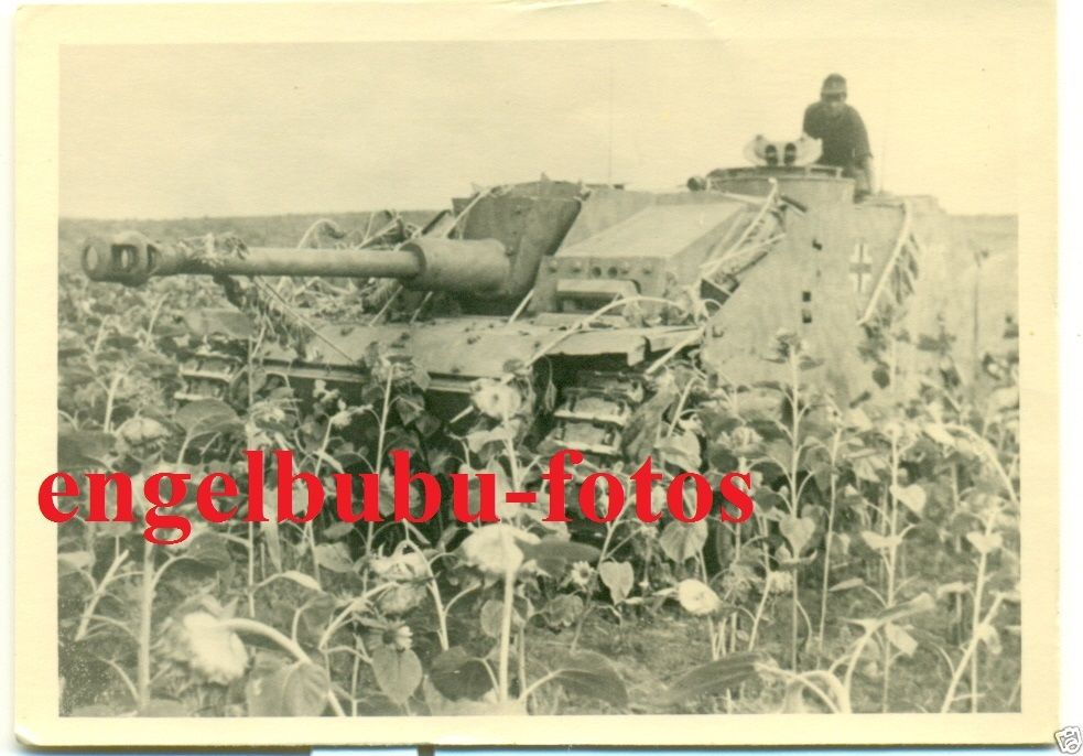 STURMGESCHÜTZ - TARNUNG   LANGROHR - SEITENSCHUT