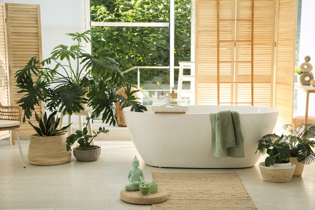 [Image: biophilic-design.jpg]