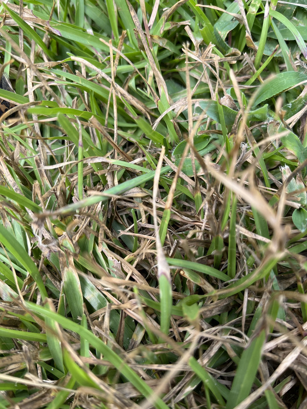 F81A032D-356A-49CC-82DD-82BE25F443E0