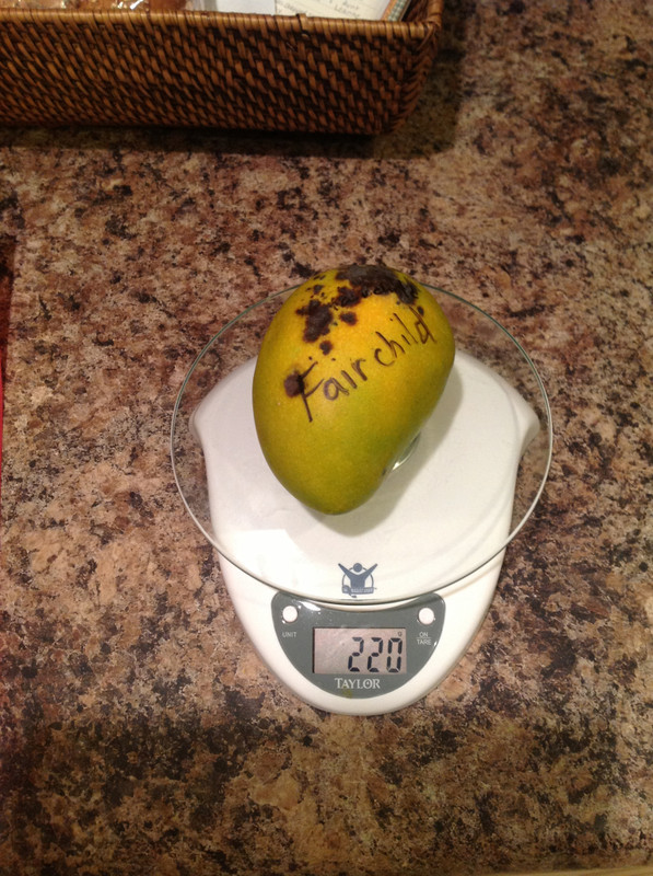 ac2b7e5f9145091b3c0847d263cbe925