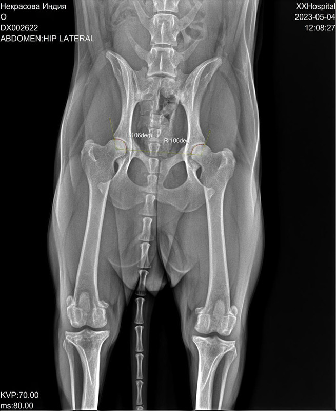 C17EC721-A816-4905-956C-847975420DEE