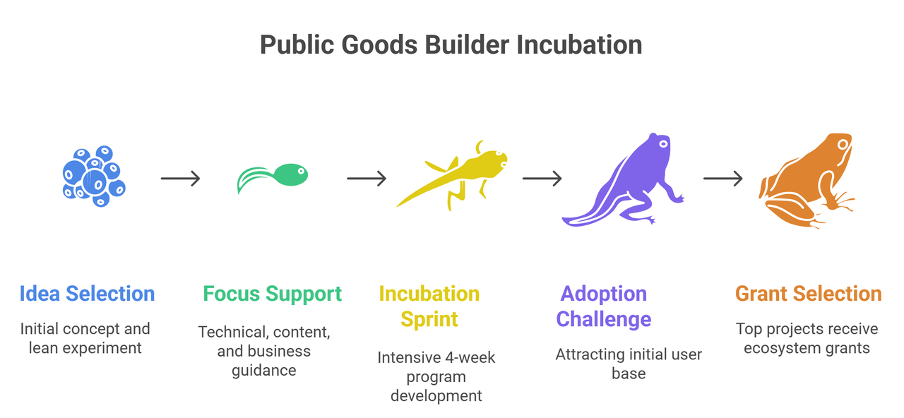 B-rder-ess-Builders-OP-Incubating-the-Next-Generation-of-Public-Goods-Builders-visual-selection.png