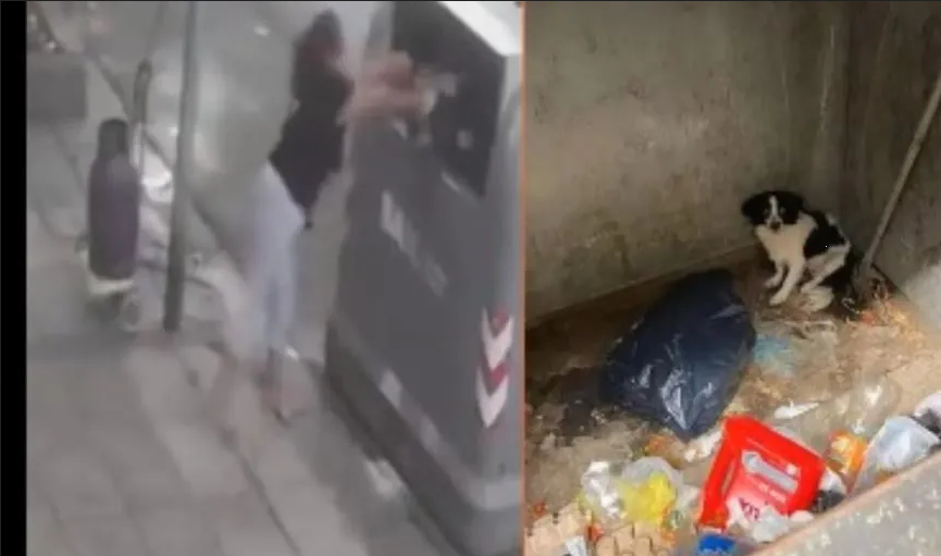 Mujer argentina fue captada tirando a su perrita a la basura
